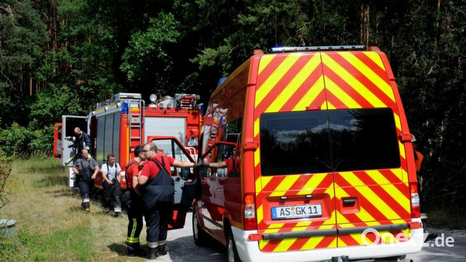 Böschungsbrände entlang der Bahnlinie Amberg-Schwandorf. Bild: Stephan Huber