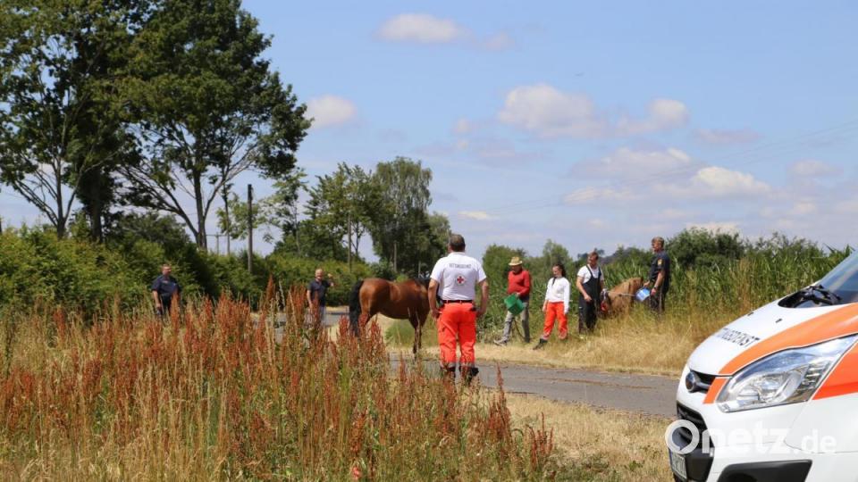 Ein ungewöhnliches Bild: Eine Sanitäterin des Bayrischen Roten Kreuzes mit einem Pony an der Leine, gefolgt von einer ausgewachsenen Stute und mehreren Einsatzfahrzeugen. Bild: rw