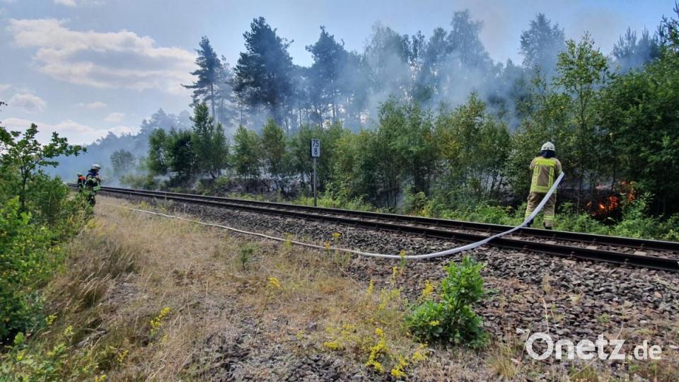 Böschungsbrände haben am Mittwochvormittag den Bahnverkehr auf der Strecke Amberg-Schwandorf zum Erliegen gebracht. Bild: exb