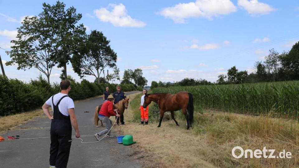 Ein ungewöhnliches Bild: Eine Sanitäterin des Bayrischen Roten Kreuzes mit einem Pony an der Leine, gefolgt von einer ausgewachsenen Stute und mehreren Einsatzfahrzeugen. Bild: rw