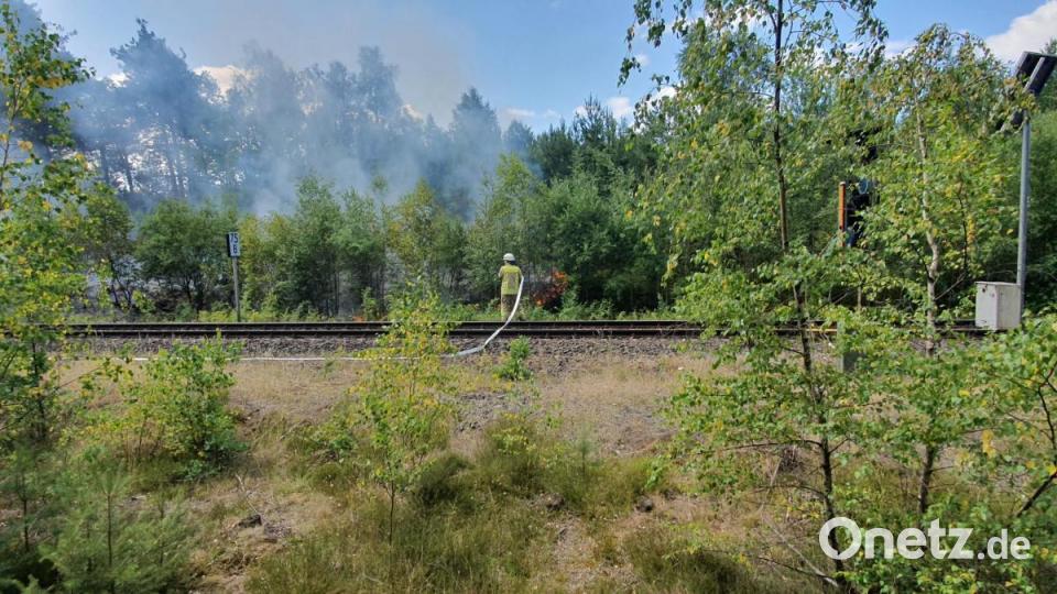 Böschungsbrände haben am Mittwochvormittag den Bahnverkehr auf der Strecke Amberg-Schwandorf zum Erliegen gebracht. Bild: exb