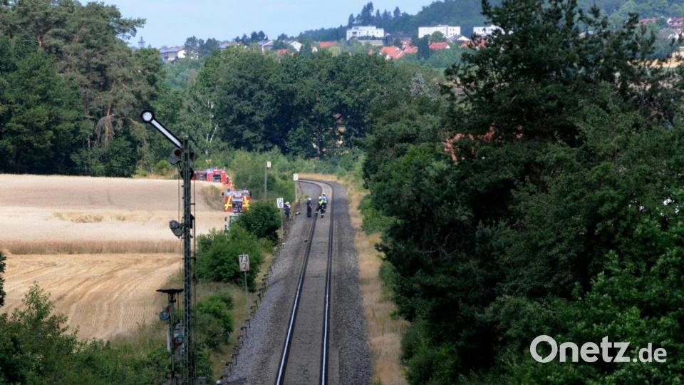 Böschungsbrände entlang der Bahnlinie Amberg-Schwandorf. Bild: Stephan Huber