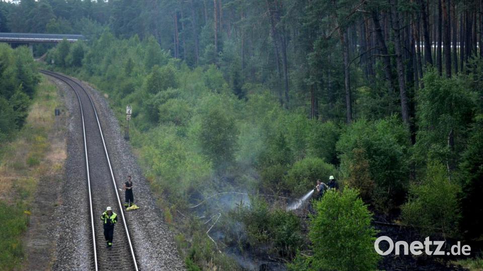 Böschungsbrände entlang der Bahnlinie Amberg-Schwandorf. Bild: Stephan Huber