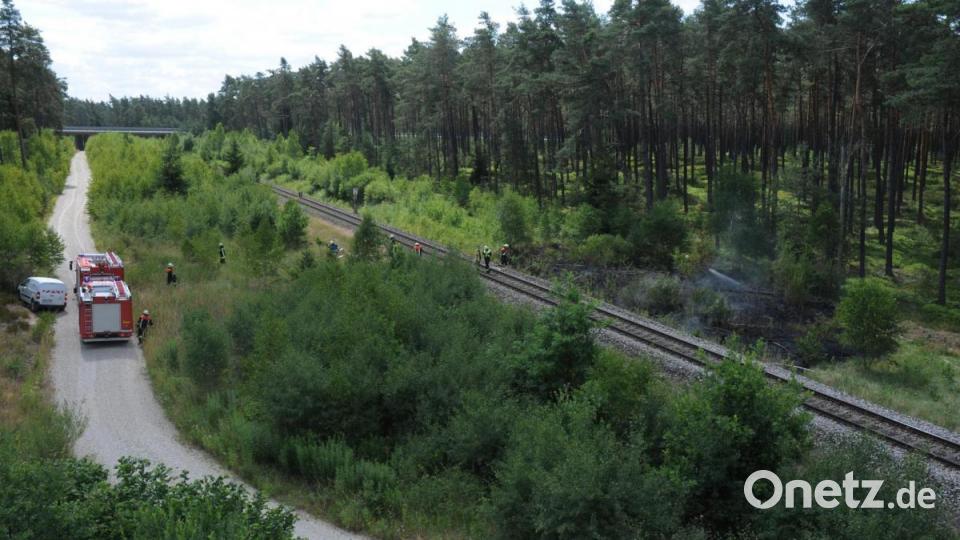 Böschungsbrände entlang der Bahnlinie Amberg-Schwandorf. Bild: Stephan Huber