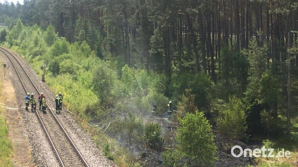 Die Brandstelle in der Nähe der Nähe der Bahnbrücke an der B 85 Richtung Schwarzenfeld. Bild: san
