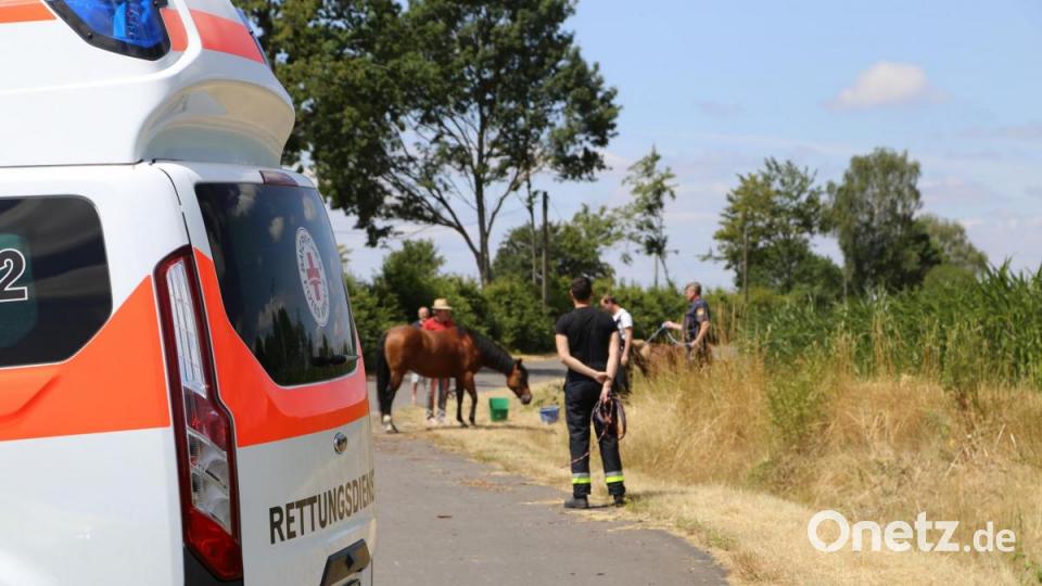 Ein ungewöhnliches Bild: Eine Sanitäterin des Bayrischen Roten Kreuzes mit einem Pony an der Leine, gefolgt von einer ausgewachsenen Stute und mehreren Einsatzfahrzeugen. Bild: rw
