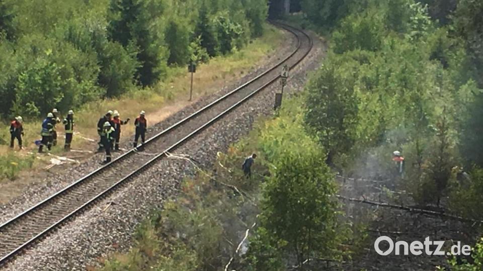 Die Brandstelle in der Nähe der Nähe der Bahnbrücke an der B 85 Richtung Schwarzenfeld. Bild: san