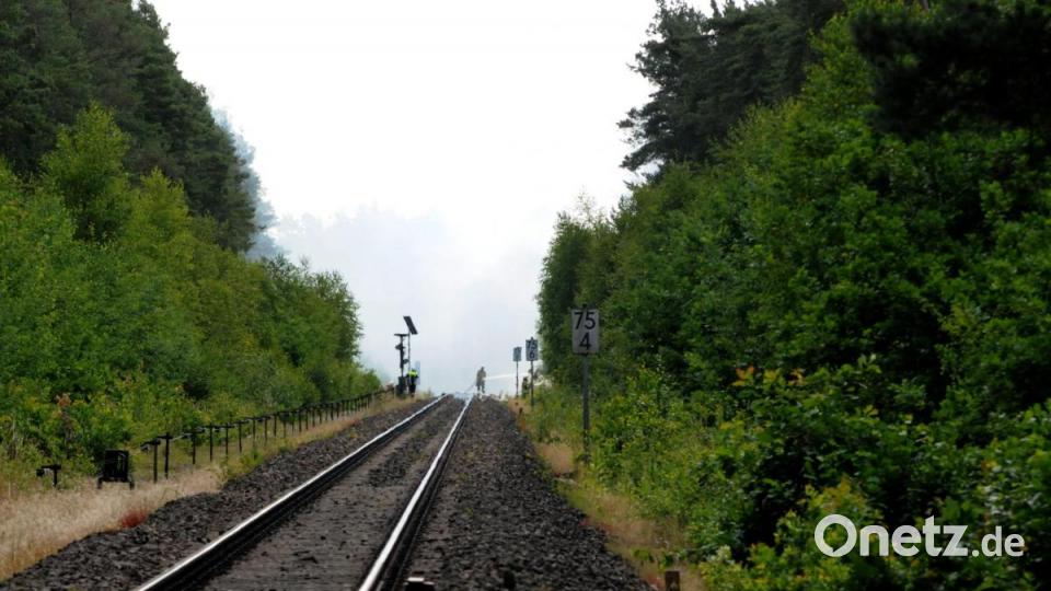 Böschungsbrände entlang der Bahnlinie Amberg-Schwandorf. Bild: Stephan Huber