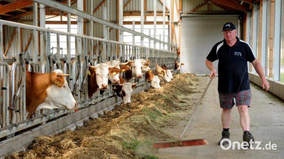Im neu gebauten Laufstall fällt täglich für Hartmut Loos viel Arbeit an. Bild: Stephan Huber