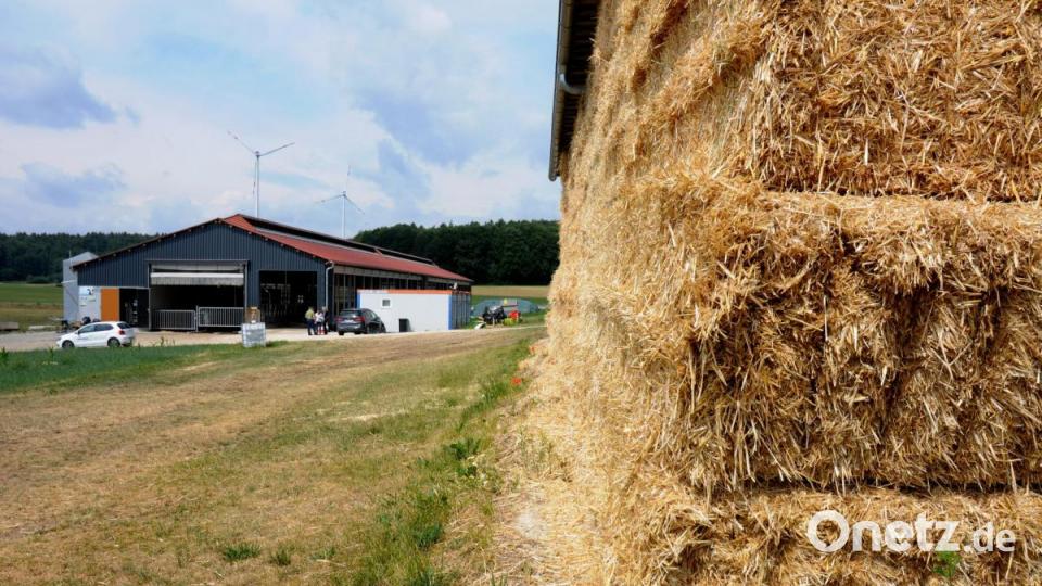 Auf diesem Areal soll schon bald ein neues Wohnhaus stehen. Bild: Stephan Huber