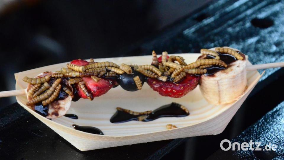 Lecker? Mehlwürmer-Früchtespieß mit Schokolade übergossen. Bild: Kunz