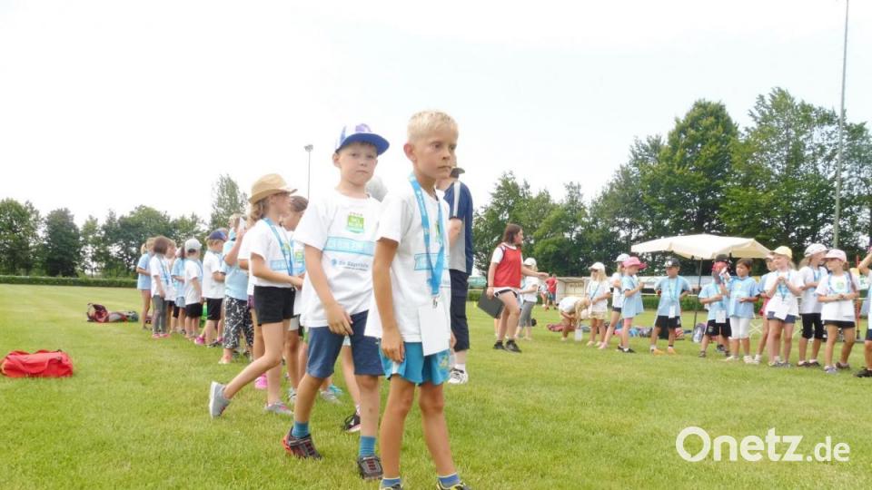 Die Grundschulen Wiesau, Falkenberg und Friedenfels suchen &quot;Ballhelden&quot;. Bild: wro