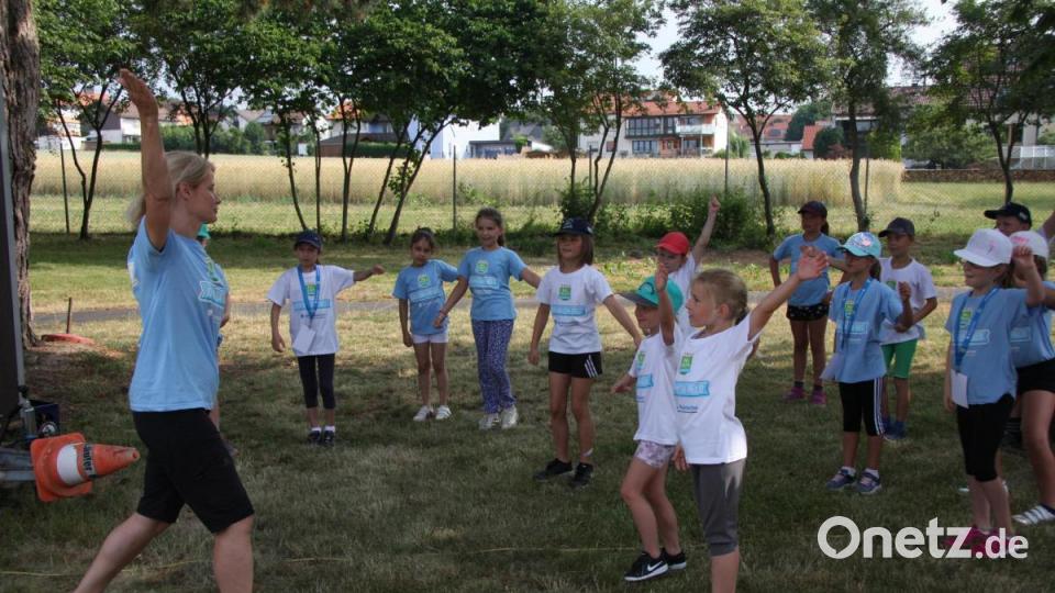 Die Grundschulen Wiesau, Falkenberg und Friedenfels suchen &quot;Ballhelden&quot;. Bild: wro
