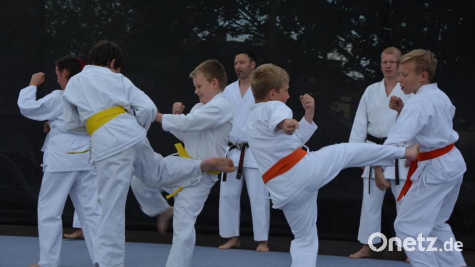 Stark der Karate-Nachwuchs. Bild: jr