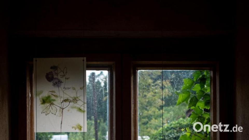 Impressionen von der Eröffnung der diesjährigen Ausstellung des Kunst- und Kulturvereins Hausfluss e.V. Neustadt. Die Künstlerinnen Michaela Schwarzmann und Stephanie Löw zeigen einige ihrer Werke in den Räumen der &quot;Alten Schießstätte&quot; in Neustadt. Bild: pml