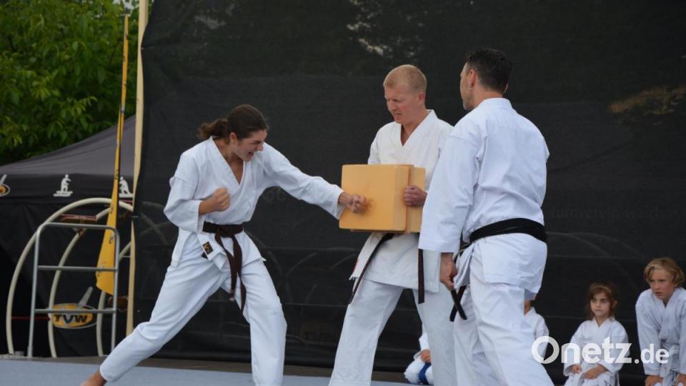 Karate in Perfektion war zu bestaunen. Bild: jr