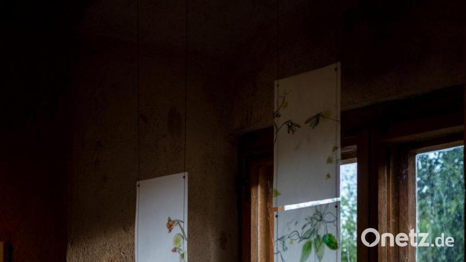 Impressionen von der Eröffnung der diesjährigen Ausstellung des Kunst- und Kulturvereins Hausfluss e.V. Neustadt. Die Künstlerinnen Michaela Schwarzmann und Stephanie Löw zeigen einige ihrer Werke in den Räumen der &quot;Alten Schießstätte&quot; in Neustadt. Bild: pml
