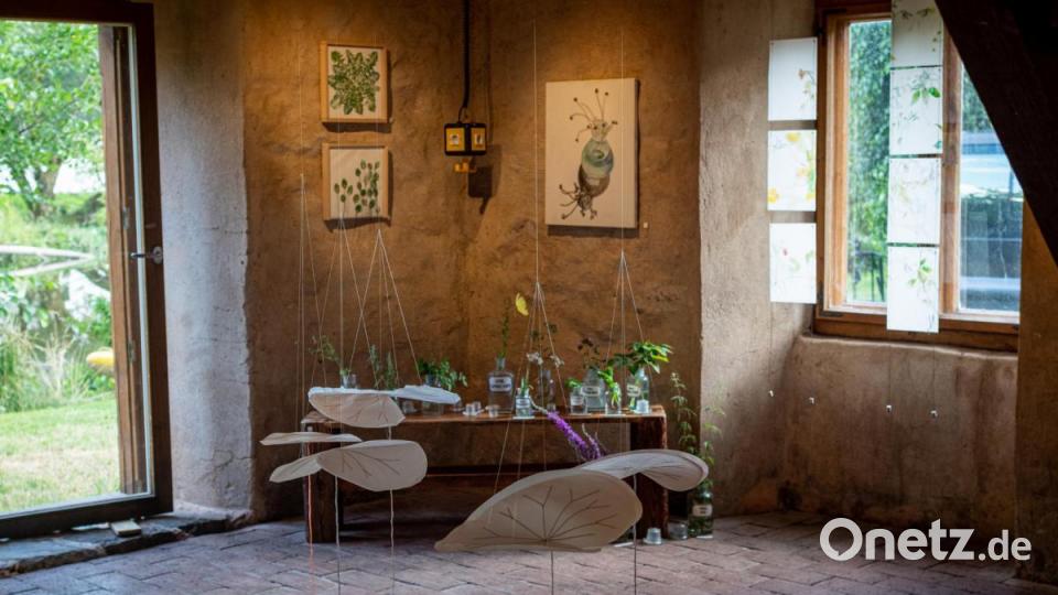 Impressionen von der Eröffnung der diesjährigen Ausstellung des Kunst- und Kulturvereins Hausfluss e.V. Neustadt. Die Künstlerinnen Michaela Schwarzmann und Stephanie Löw zeigen einige ihrer Werke in den Räumen der &quot;Alten Schießstätte&quot; in Neustadt. Bild: pml