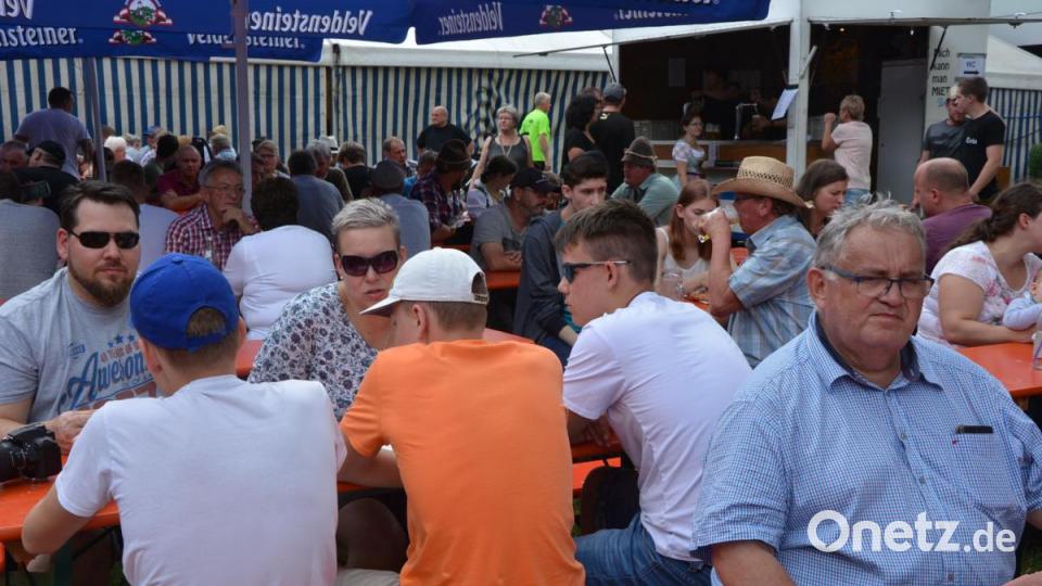 Die Bulldogfreunde Thanhausen freuten sich über einen tollen Besuch, beim Fest des Jahres in Kaltenmühle. Bild: jr