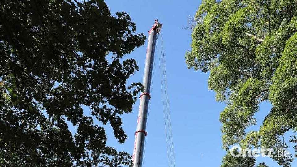 Einhub Pioniersteg Bild: Wolfgang Steinbacher