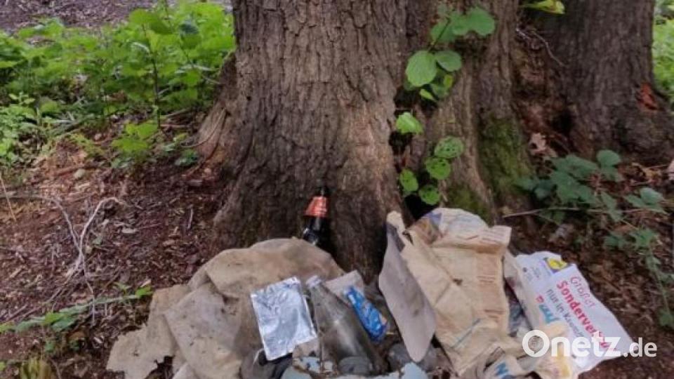 Karlheinz Weigls Endrücke von seiner Bundesländer-Tour: So vermüllt ist Deutschland. Bild: upl