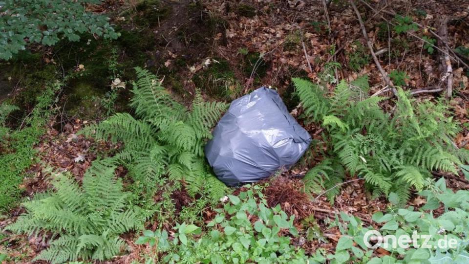 Karlheinz Weigls Endrücke von seiner Bundesländer-Tour: So vermüllt ist Deutschland. Bild: upl