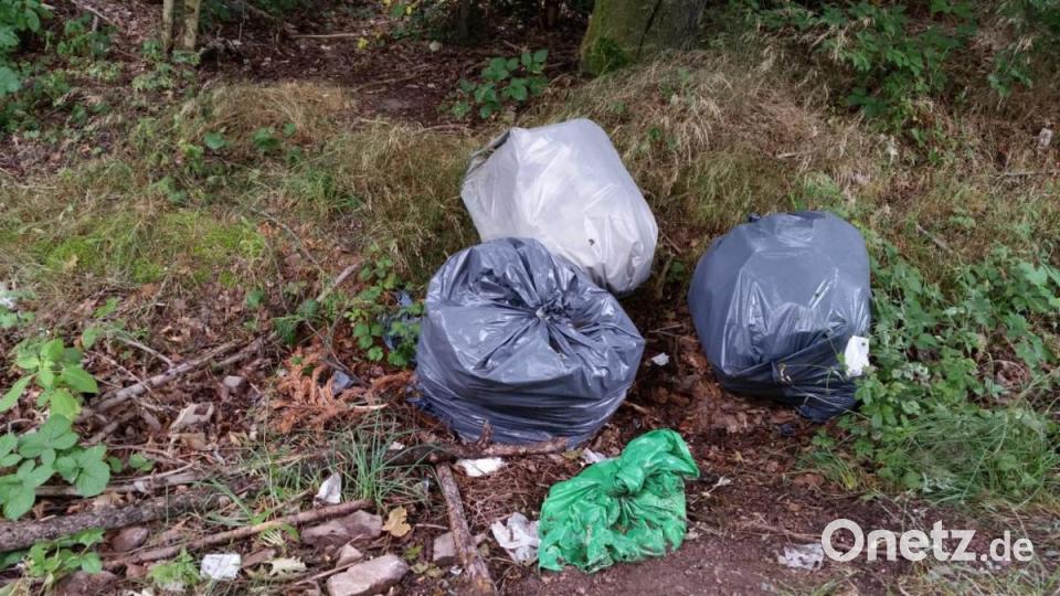 Karlheinz Weigls Endrücke von seiner Bundesländer-Tour: So vermüllt ist Deutschland. Bild: upl