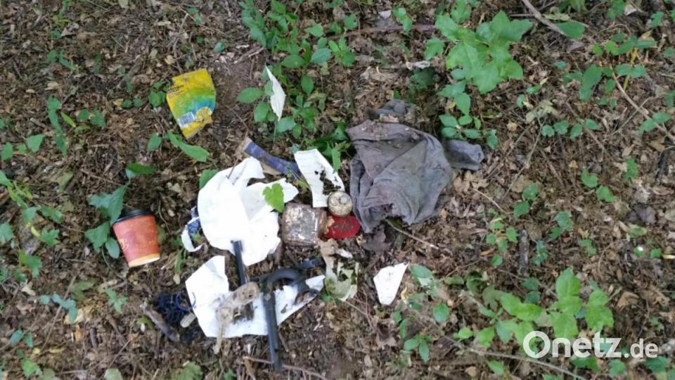 Karlheinz Weigls Endrücke von seiner Bundesländer-Tour: So vermüllt ist Deutschland. Bild: upl