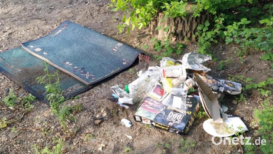 Karlheinz Weigls Endrücke von seiner Bundesländer-Tour: So vermüllt ist Deutschland. Bild: upl