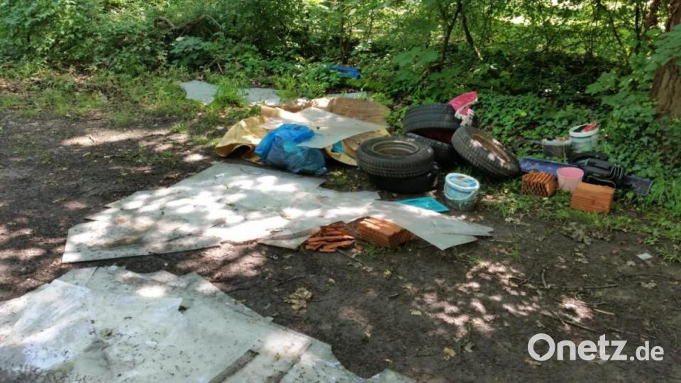 Karlheinz Weigls Endrücke von seiner Bundesländer-Tour: So vermüllt ist Deutschland. Bild: upl