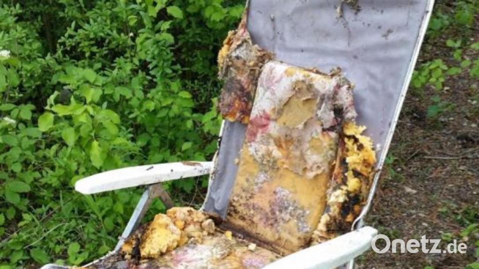 Karlheinz Weigls Endrücke von seiner Bundesländer-Tour: So vermüllt ist Deutschland. Bild: upl