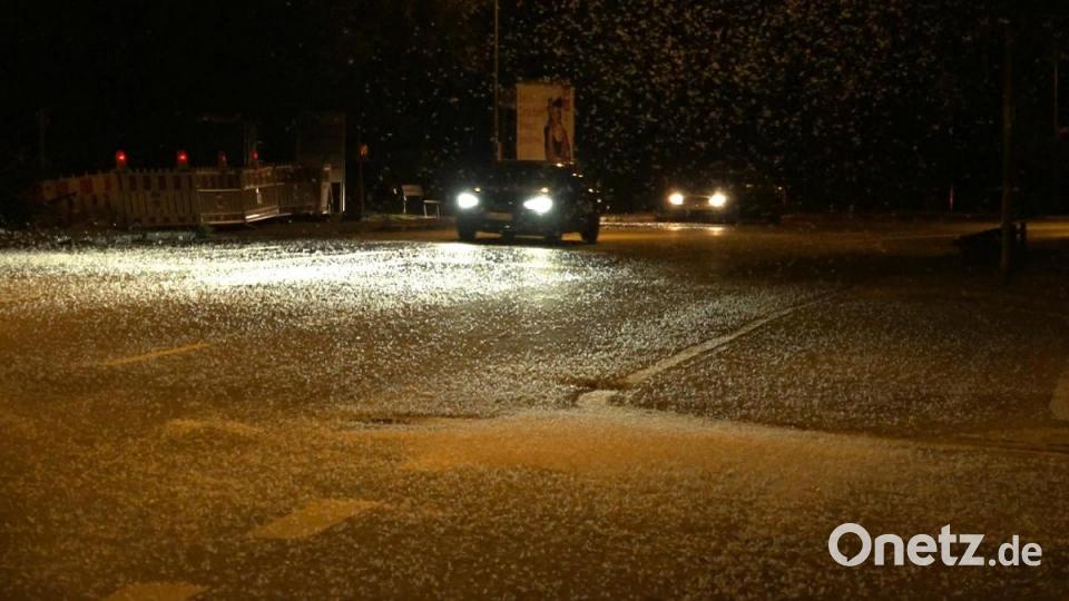 Milliarden von Fliegen bedeckten in der Nacht von Mittwoch auf Donnerstag die Straßen in Burglengefeld. Bild: Alexander Auer