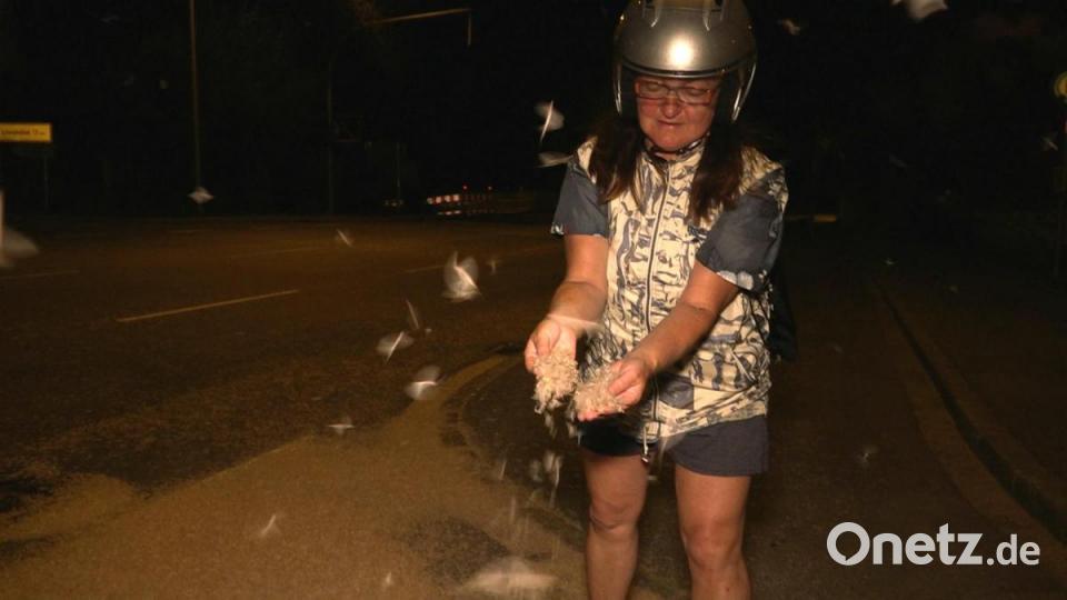 Milliarden von Fliegen bedeckten in der Nacht von Mittwoch auf Donnerstag die Straßen in Burglengefeld. Bild: Alexander Auer
