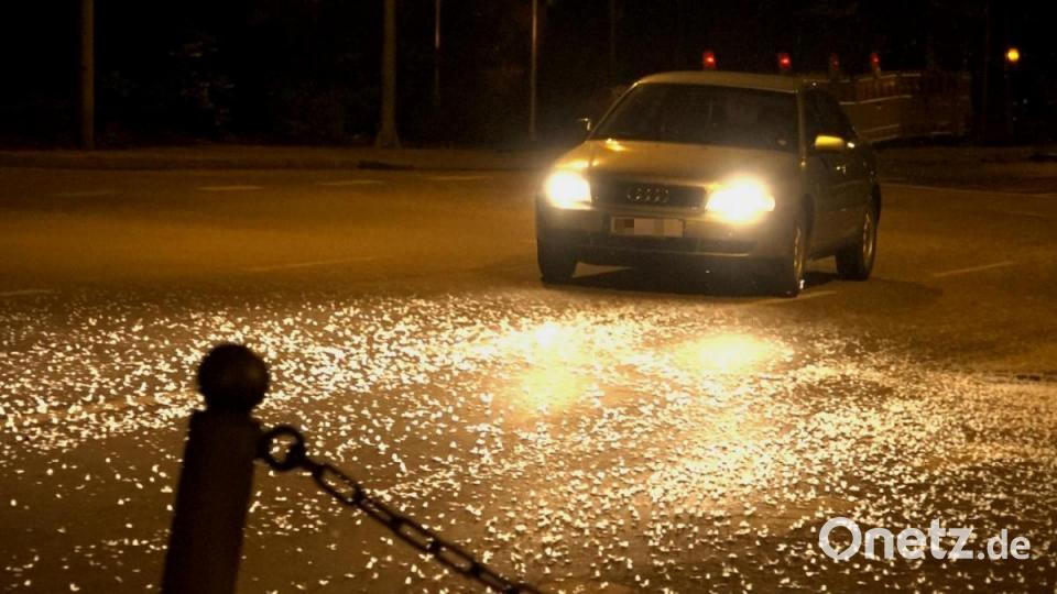 Milliarden von Fliegen bedeckten in der Nacht von Mittwoch auf Donnerstag die Straßen in Burglengefeld. Bild: Alexander Auer
