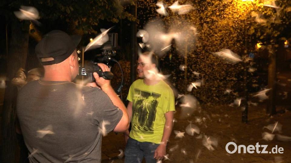 Milliarden von Fliegen bedeckten in der Nacht von Mittwoch auf Donnerstag die Straßen in Burglengefeld. Bild: Alexander Auer