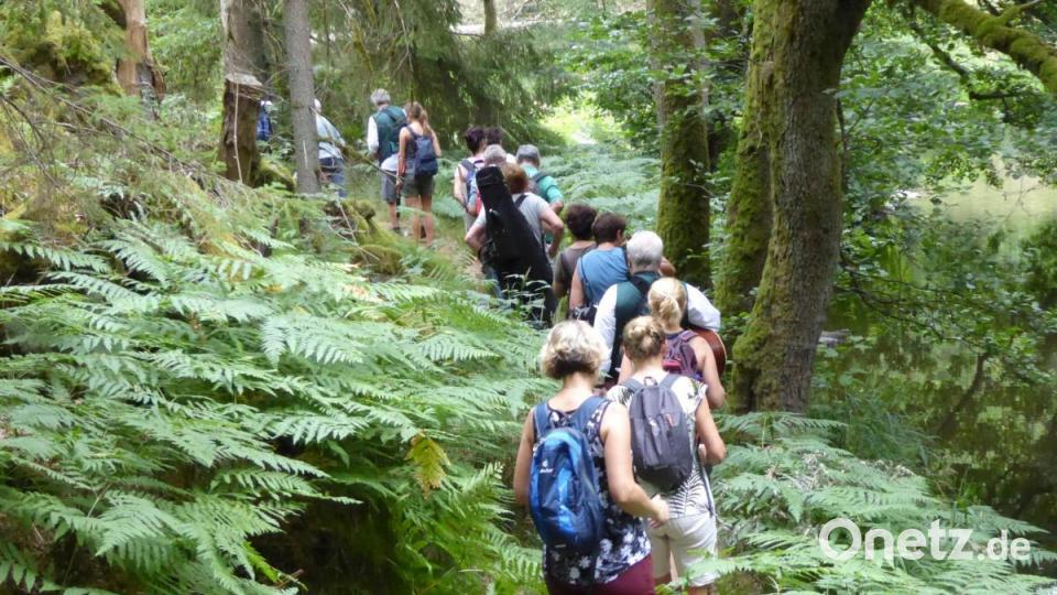 Auf schmalen Pfaden durch eine bezaubernde Naturlandschaft. Bild: fsb