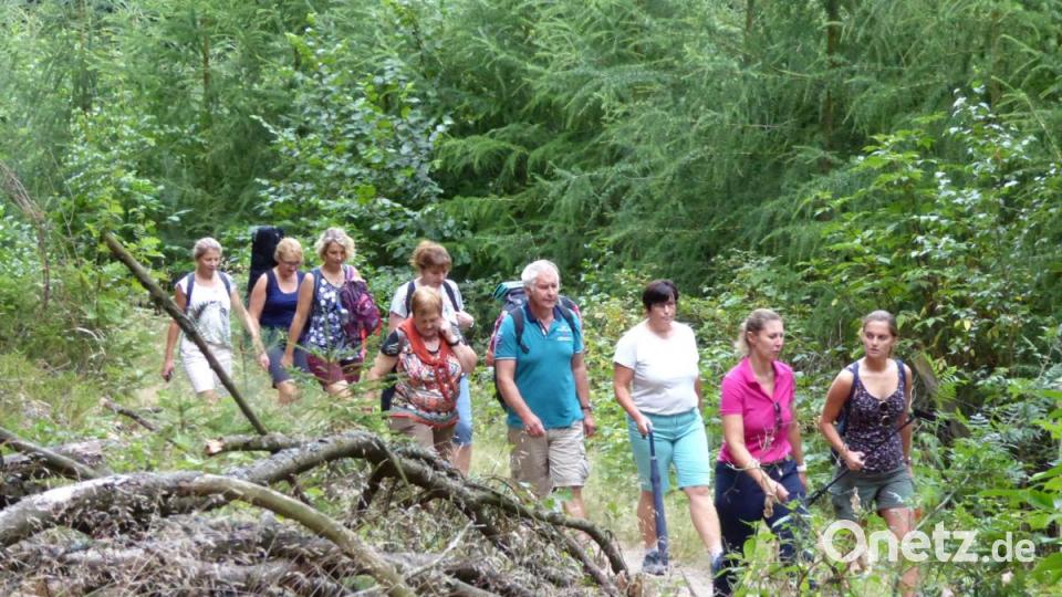 Auf schmalen Pfaden durch eine bezaubernde Naturlandschaft. Bild: fsb