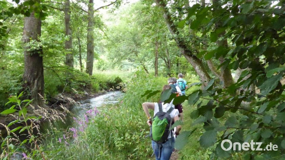 Auf schmalen Pfaden durch eine bezaubernde Naturlandschaft. Bild: fsb