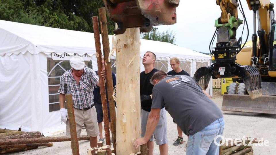Der Baum muss gut eingekeilt sein, damit er nicht umfällt. Bild: egl