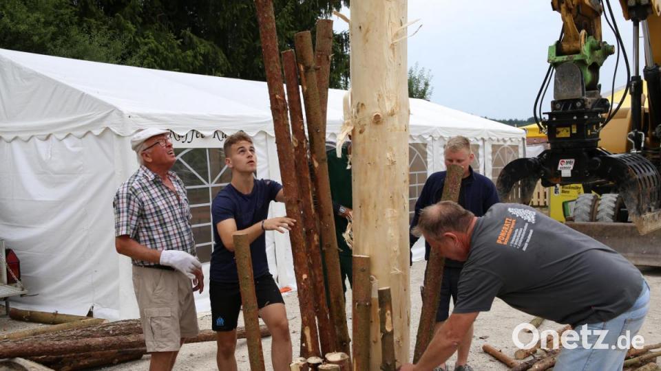 Der Baum muss gut eingekeilt sein, damit er nicht umfällt. Bild: egl
