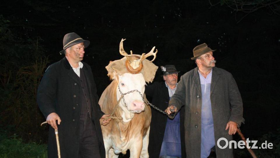 Beim Schmuggeln sind der Kreativität keine Grenzen gesetzt: Aus der Kuh wird ein Hirsch. Bild: lg