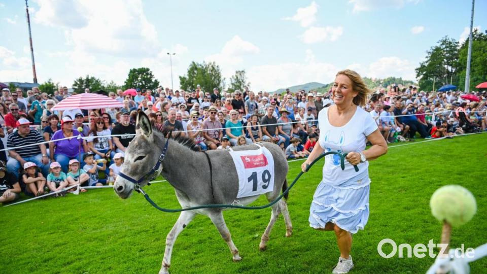 Rund 3000 Besucher haben sich bei strahlendem Sonnenschein das traditionelle Eselrennen beim diesjährigen Hersbrucker Altstadtfest angesehen. Bild: Nicolas Armer/dpa