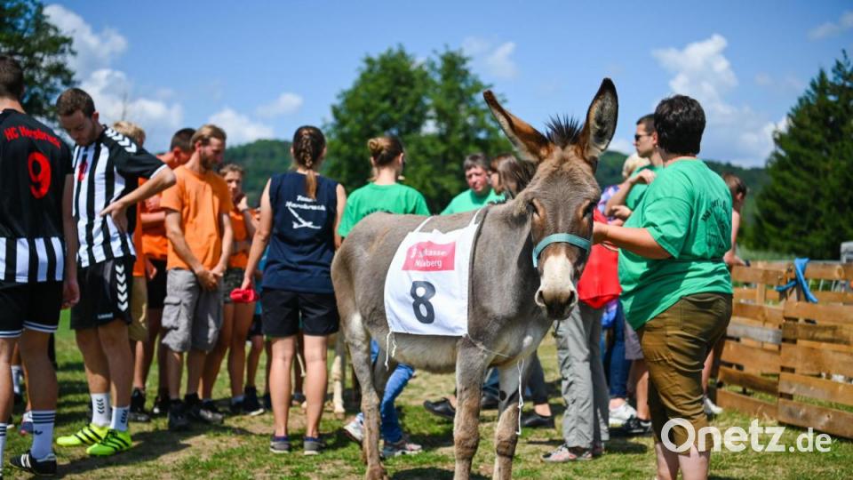 Rund 3000 Besucher haben sich bei strahlendem Sonnenschein das traditionelle Eselrennen beim diesjährigen Hersbrucker Altstadtfest angesehen. Bild: Nicolas Armer/dpa