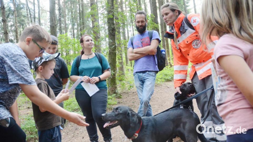 Rettungshund Mia ist vier Jahre alt und liebt es, gestreichelt zu werden. Bild: Gabi Schönberger