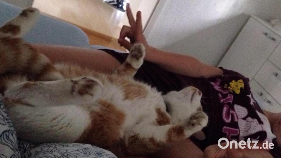 Peterle hält sein Nickerchen oft an den ungewöhnlichsten Orten. Ob im Waschbecken, in der Spüle oder auch im Puppenbett. Wir haben Peterle vor 8 Jahren von einem Bauernhof geholt und seitdem ist er der Liebling der ganzen Familie. Bild: Mario Donat
