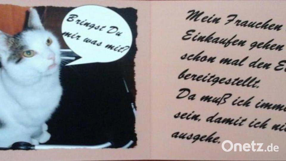 Mein Name ist Kater Felix. Ich bin 2012 vom Straßenkater aufgestiegen zum Chef des Hauses. Bild: Elfi Plötz