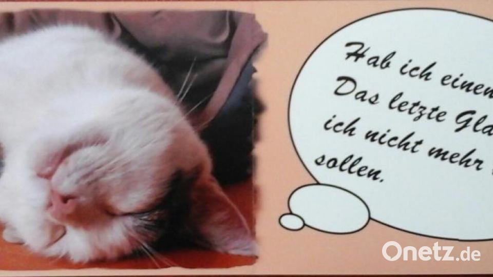 Mein Name ist Kater Felix. Ich bin 2012 vom Straßenkater aufgestiegen zum Chef des Hauses. Bild: Elfi Plötz