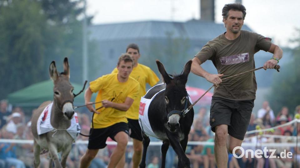 Rund 3000 Besucher haben sich bei strahlendem Sonnenschein das traditionelle Eselrennen beim diesjährigen Hersbrucker Altstadtfest angesehen. Bild: Timm Schamberger