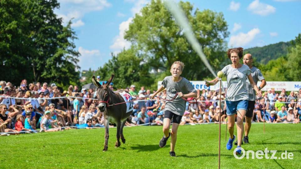Rund 3000 Besucher haben sich bei strahlendem Sonnenschein das traditionelle Eselrennen beim diesjährigen Hersbrucker Altstadtfest angesehen. Bild: Nicolas Armer/dpa