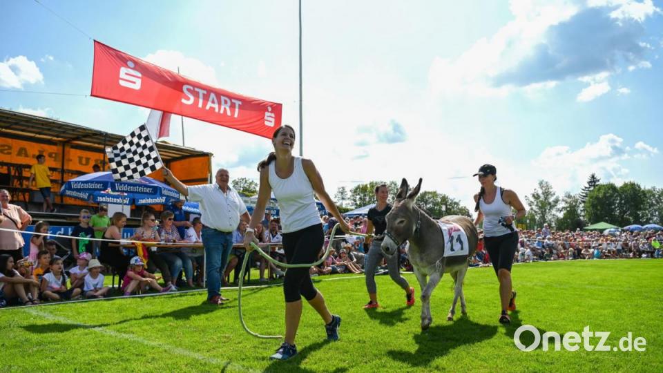 Rund 3000 Besucher haben sich bei strahlendem Sonnenschein das traditionelle Eselrennen beim diesjährigen Hersbrucker Altstadtfest angesehen. Bild: Nicolas Armer/dpa